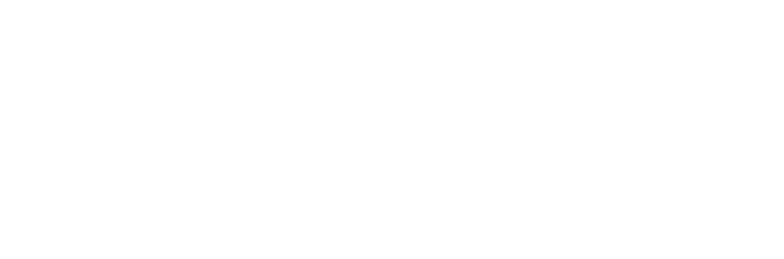 coti logo iso valko